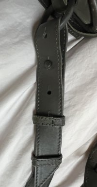 IMG_9874.jpeg
