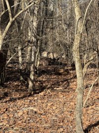 IMG_8924.jpeg