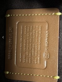 IMG_7300.jpeg