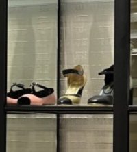 IMG_2083.jpeg