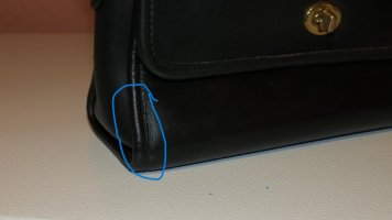 IMG_0555.JPG