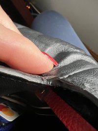 IMG_3919.jpeg