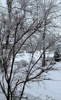 IMG_4241.jpeg