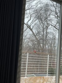 IMG_8944.jpeg