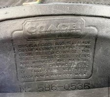 IMG_7983.jpeg