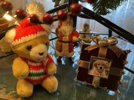 IMG_0967.jpeg