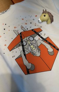 IMG_0851.jpeg