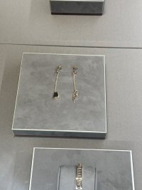 1705032117404.jpeg