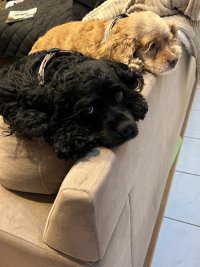 IMG_7176.jpeg