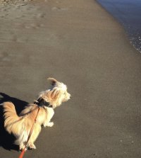 IMG_1545.jpeg