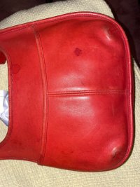 IMG_2170.jpeg