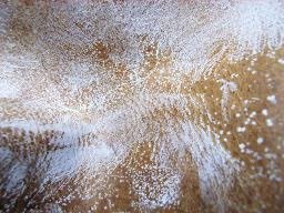 IMG_7659.jpeg