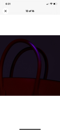 IMG_1074.png