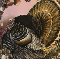 IMG_5968.jpeg
