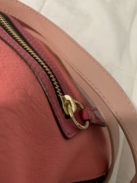 IMG_7337.jpeg