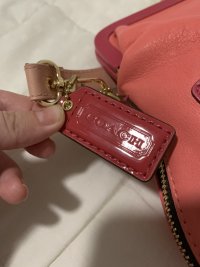 IMG_7338.jpeg