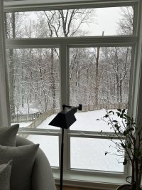 IMG_9033.jpeg