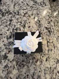 IMG_2244.jpeg