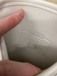IMG_1071.jpeg