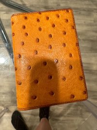 IMG_4768.jpeg
