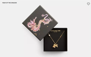 year of the dragon coach necklace.PNG