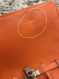 IMG_8030.jpeg