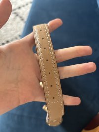 IMG_8583.jpeg