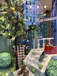 IMG_9285.jpeg