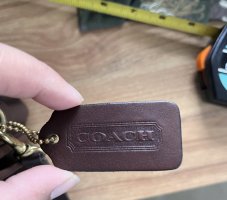IMG_8847.jpeg