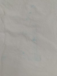 IMG_5398.jpeg