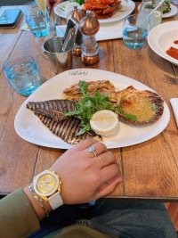IMG_4800.jpeg