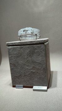 IMG_1552.jpeg