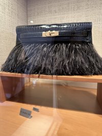 IMG_1544.jpeg