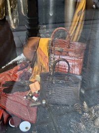 IMG_1576.jpeg