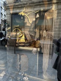IMG_1577.jpeg