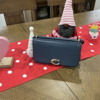 IMG_6833.jpeg