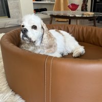 IMG_2653.jpeg