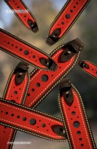 IMG_1542.jpeg