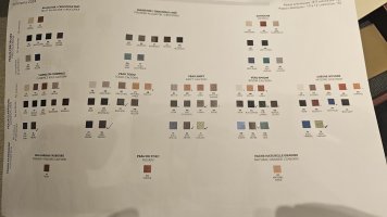 IMG_2055.jpeg