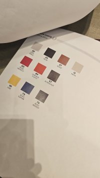 IMG_2056.jpeg