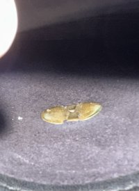 IMG_2354.jpeg