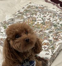 IMG_3671.jpeg