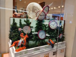 YYC Window 1.jpg