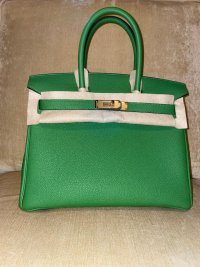 birkin1.jpg