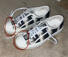 IMG_0809.jpeg