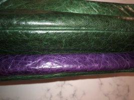 IMG_5387.jpeg