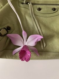IMG_8630.jpeg