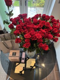 IMG_0153.jpeg