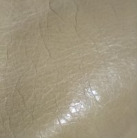 IMG_20240219_131429508.jpg