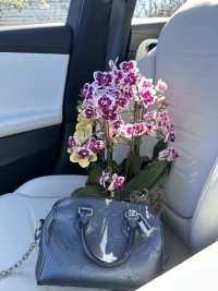 IMG_8176.jpeg